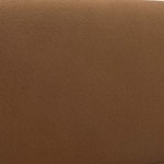 divine cinnamon swatch  