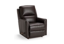 dl leather recliner   
