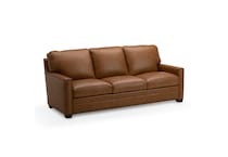 dorn caramel hps   g wood leg leathermatch sofa   