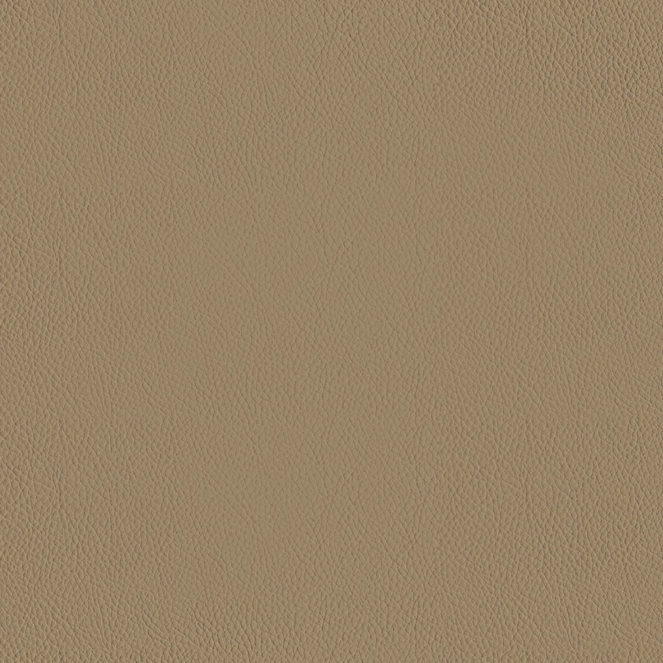 dune swatch  