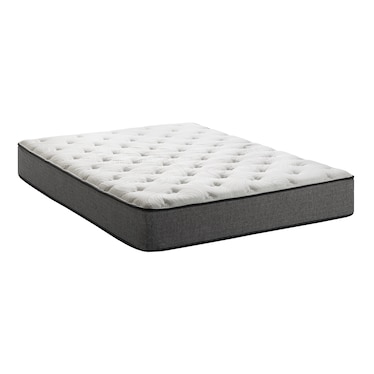 WG&R Factory Direct Special Purchase Hazel Cushion Firm Mattress