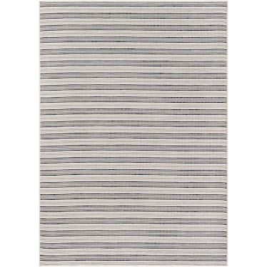 Pasadena III 5 x 7 Indoor / Outdoor Rug