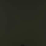 green   natural swatch  