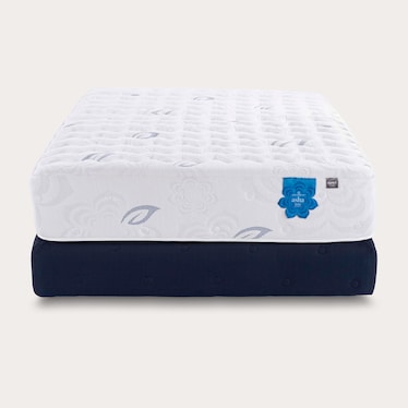 PranaSleep Asha Luxe Mediim King Mattress
