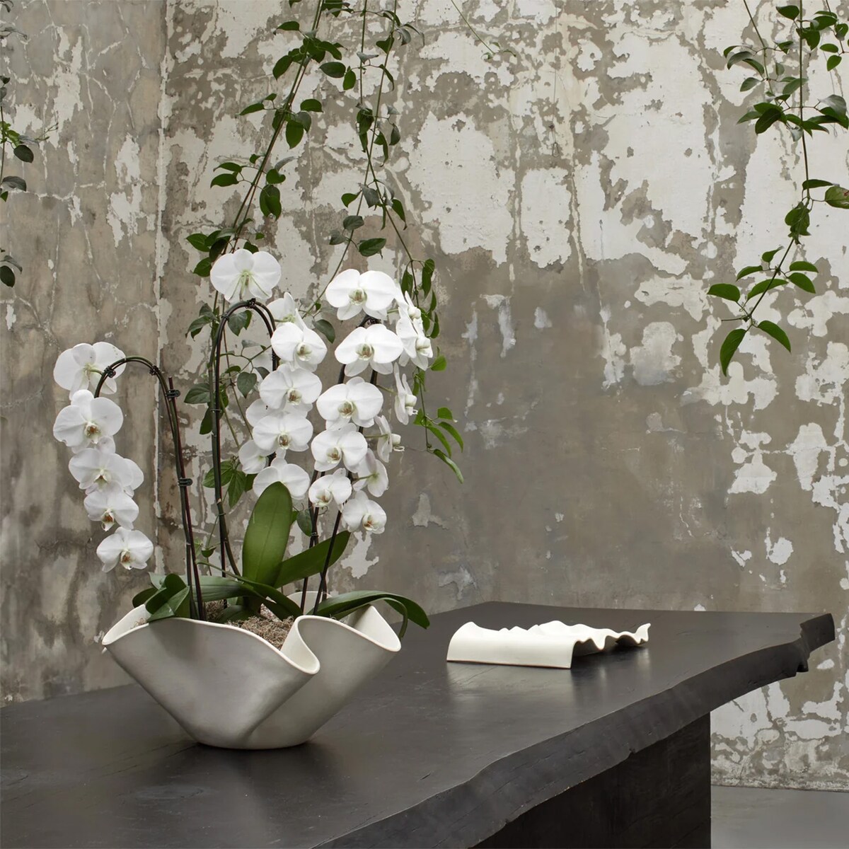 kitchen serveware