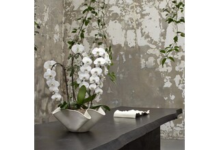 kitchen serveware