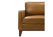 leather sofas   