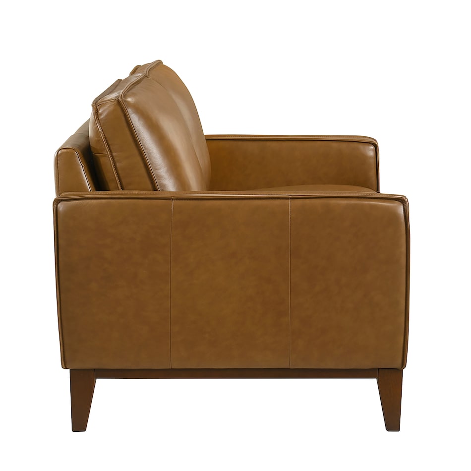 leather sofas   