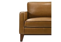 leather sofas   