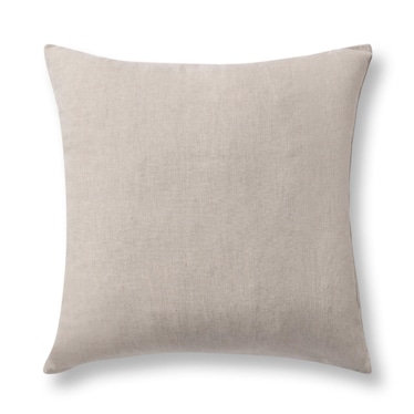 SR Nisha 22" x 22" Pillow