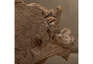 natural antique art accessories   