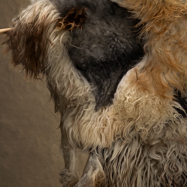 Icelandic Felted Sheepskin With Hanging Rod