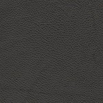 onyx swatch  