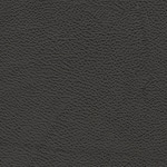 onyx swatch  