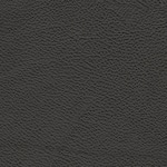 onyx swatch  