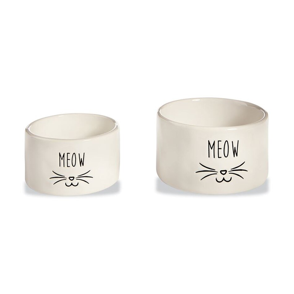 pet accessories   
