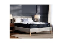 queen matt  room image  