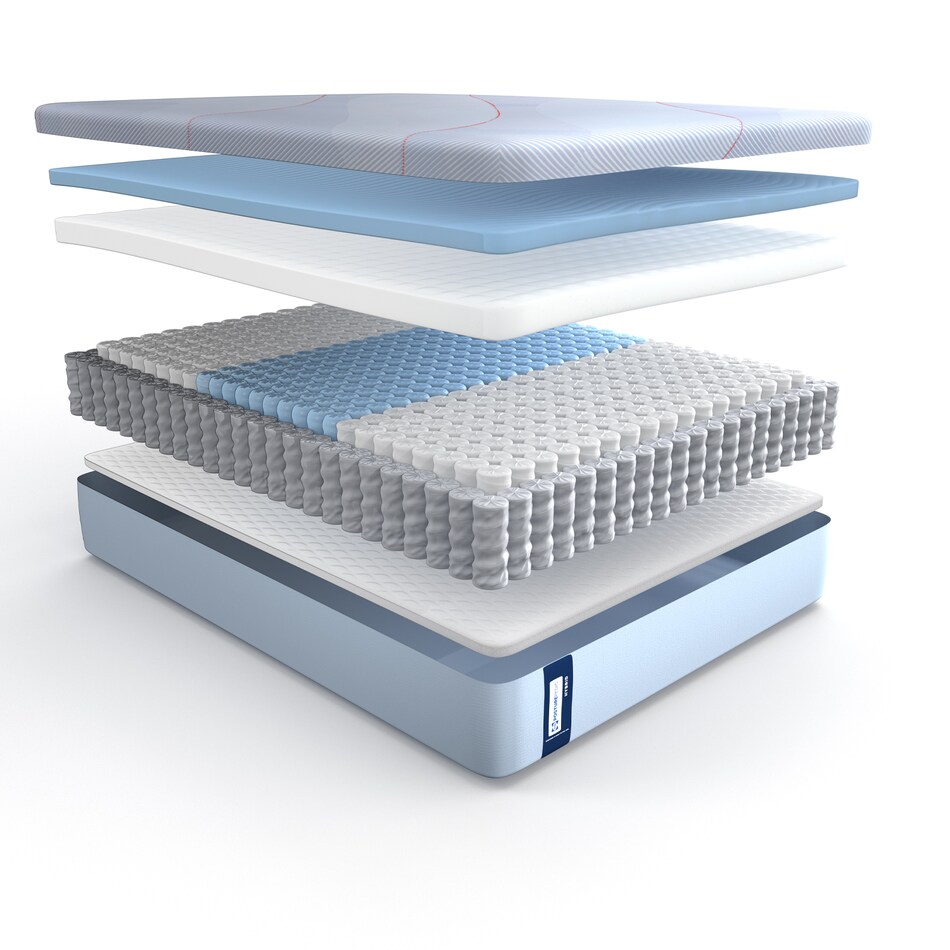 queen mattress or box   