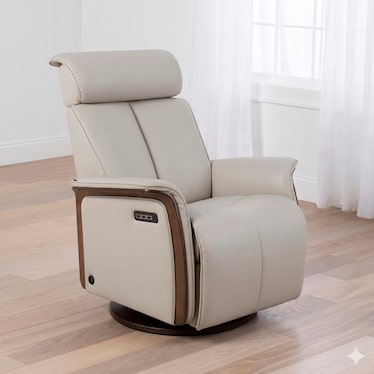 Large Jewel Power Recliner