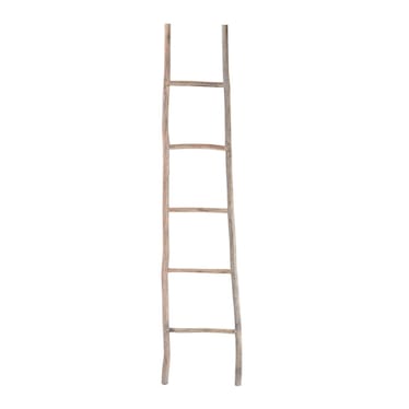 Whitewash Large Ladder