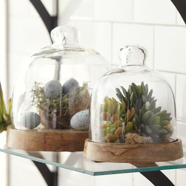 S/2 Glass & Wood Cloche