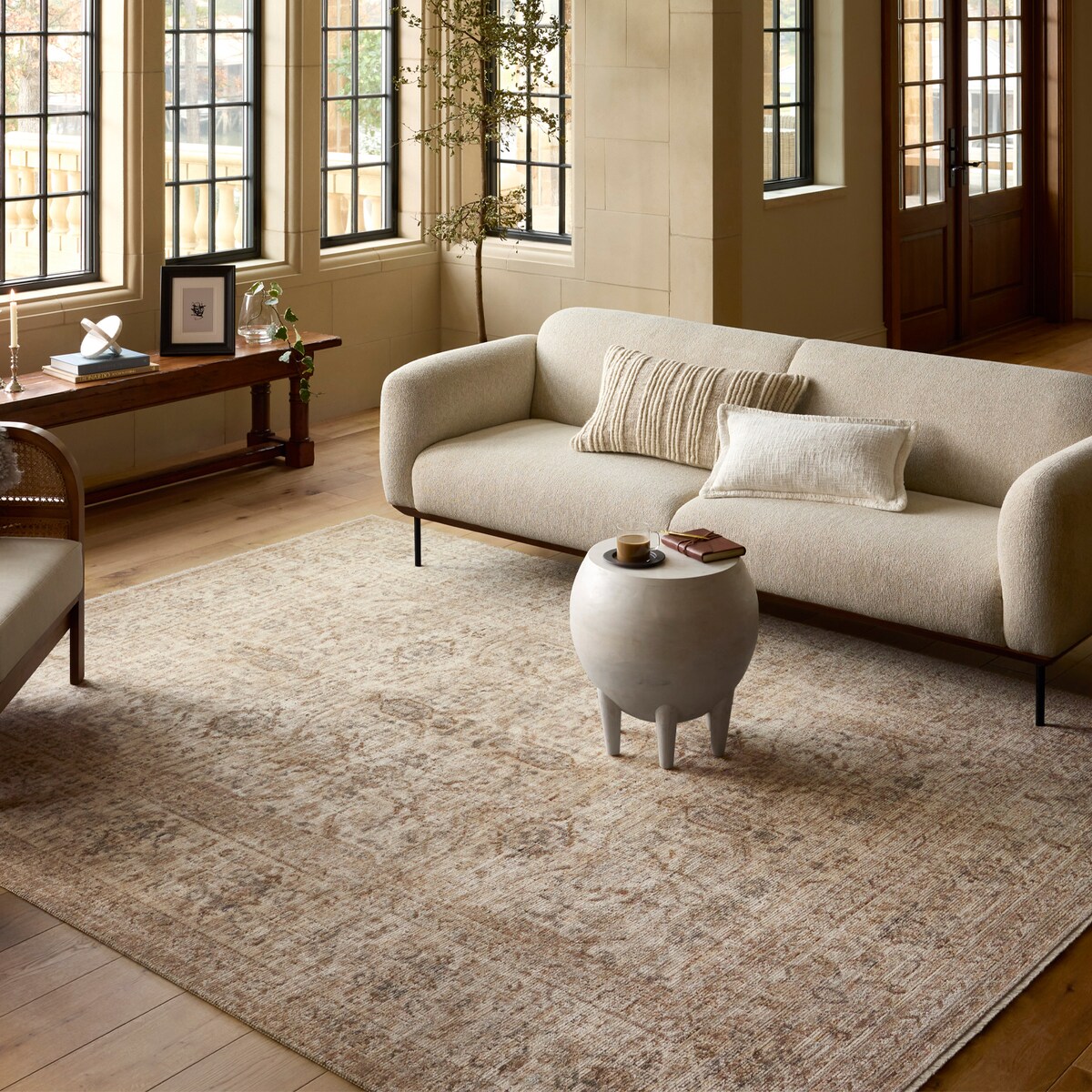 tan area rug   