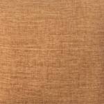 turmeric swatch  