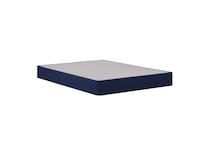 twin mattress or box   
