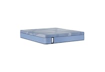twin mattress or box   