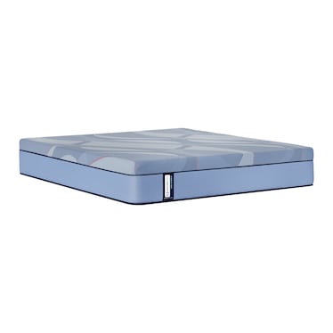 Sealy DuPont Hybrid Medium Mattress