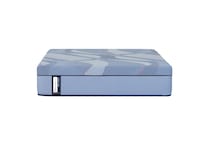 twin mattress or box   