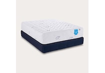 twin mattress or box   