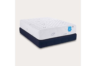 twin mattress or box