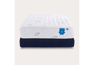 twin mattress or box