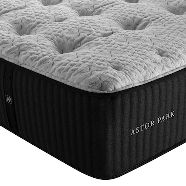 Astor Park Obsidian Plush Mattress