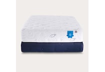 twin mattress or box   