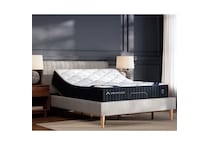 twin xl matt  room image  