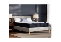 twin xl matt  room image  