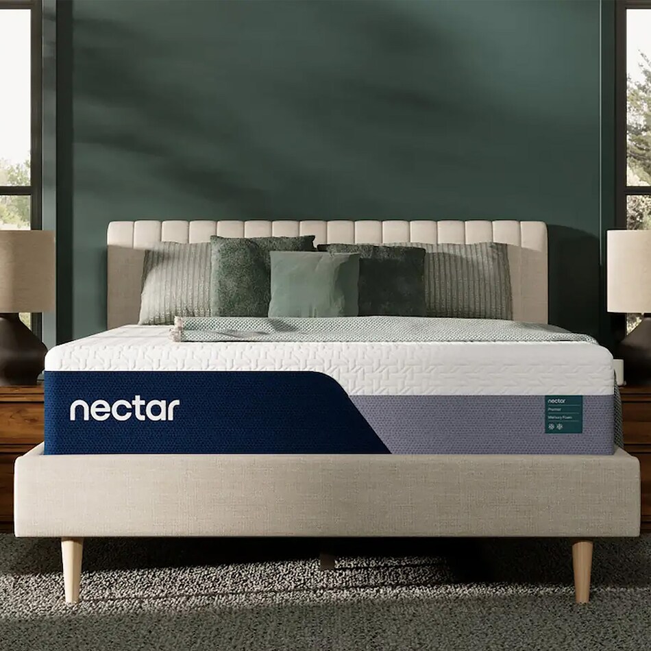 twin xl matt  room image  