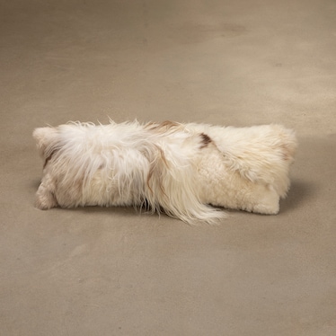 Pillow w/Insert White